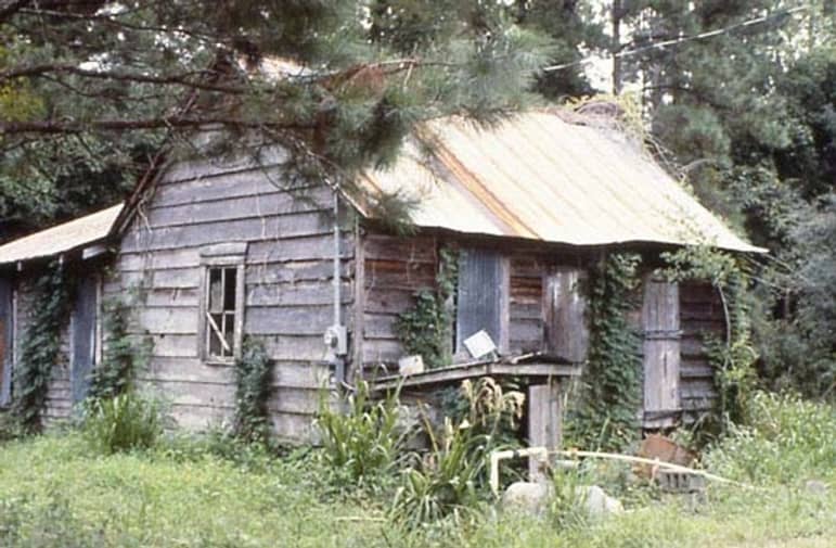 Photo of a woodden cabin in the woods with overgrown plants.