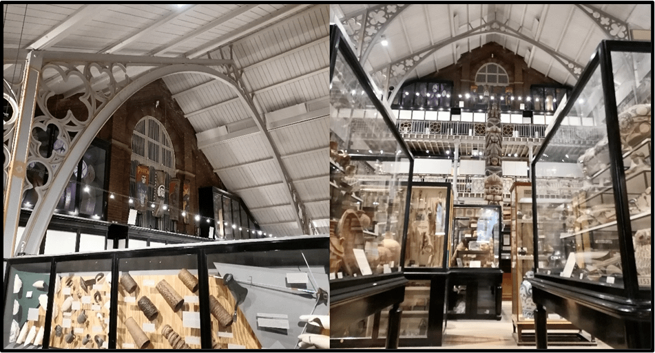 Collage of photos showing the inside of a museum, with a focus on glass cases and ethnographic collections. 